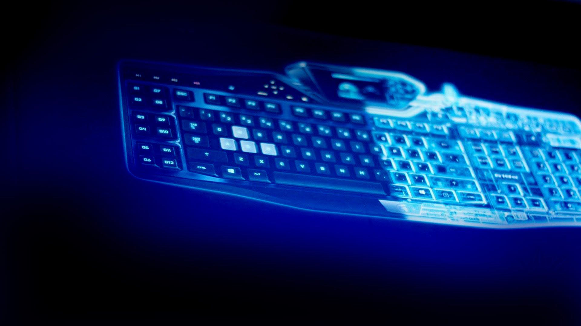 looking eclipse glasses.